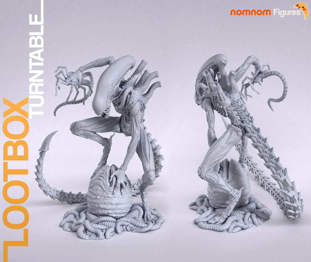 Xenomorph — studio render 3