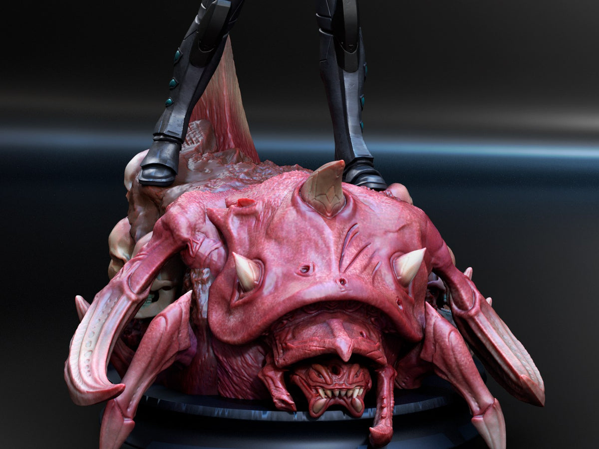 Nova — studio render 3